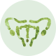 uterus